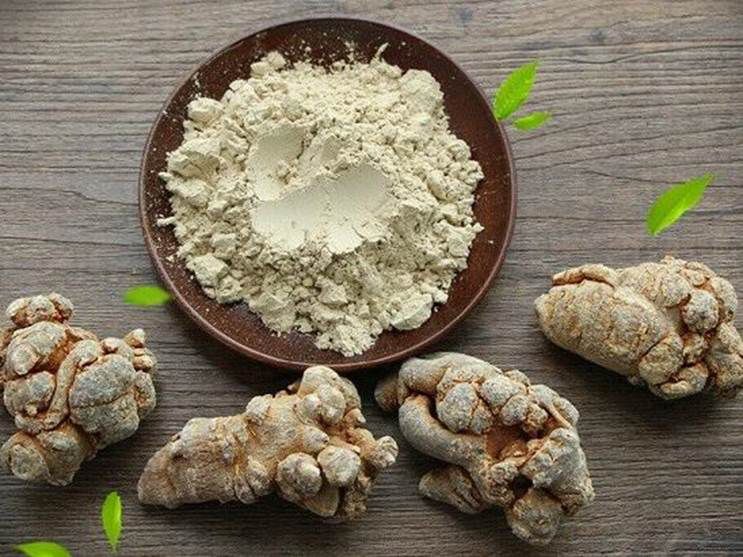 Tam thất được mệnh danh là tam thất nhân sâm của người Việt 