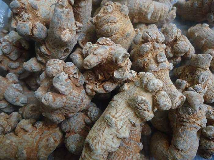 Công dụng của tam thất với sức khỏe