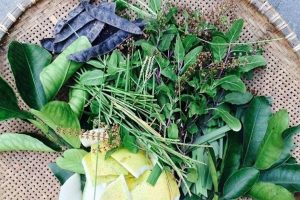Lưu ý khi dùng thảo dược để trị rụng tóc