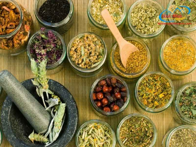 Dược liệu tươi là gì? Đặc điểm và ứng dụng