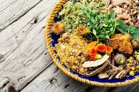 Sự khác nhau giữa dược liệu tươi và khô