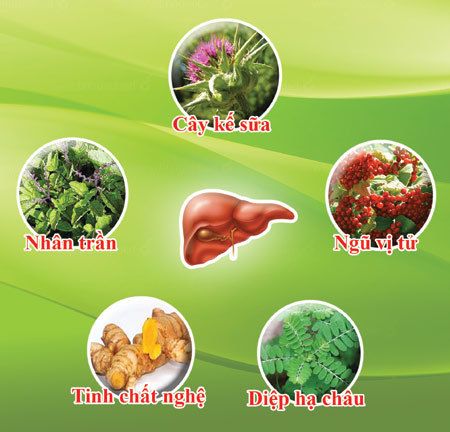 Vì sao cần quan tâm đến sức khỏe lá gan