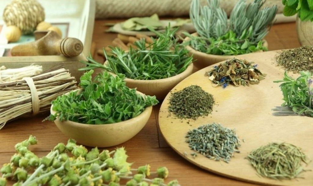 Gợi ý sản phẩm hỗ trợ tăng cường miễn dịch được ưa chuộng