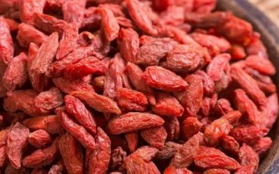 Phân biệt kỷ tử thật hay giả bằng khứu giác và vị giác