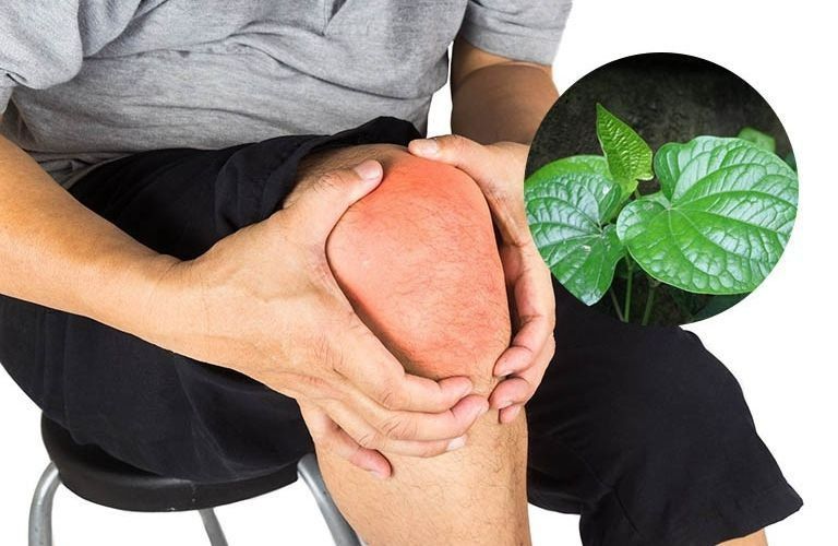 Đau nhức xương khớp và xu hướng dùng dược liệu tự nhiên