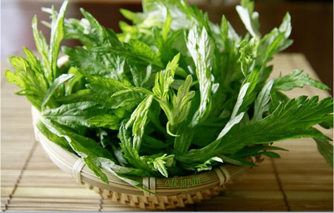 Một số bài thuốc dân gian hỗ trợ đau xương khớp