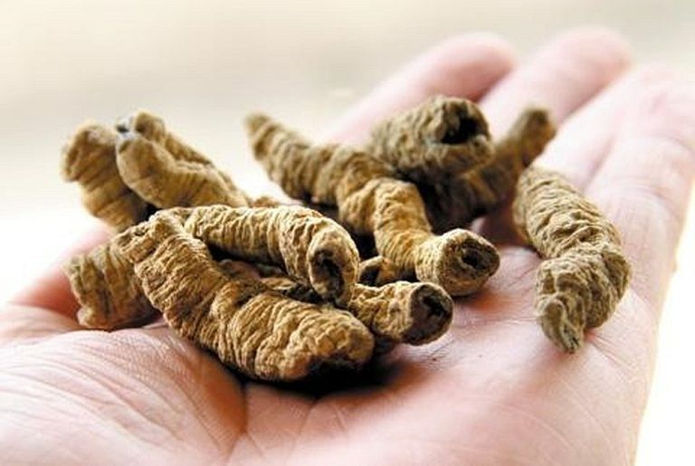 Công dụng ba kích đối với sức khỏe