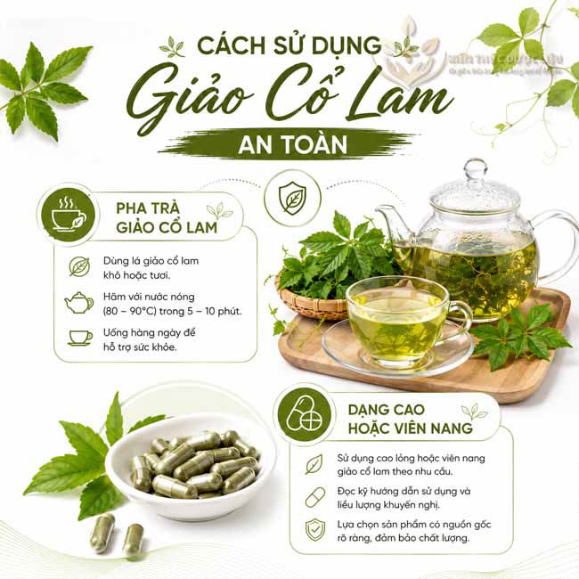 Cách sử dụng Giảo Cổ Lam