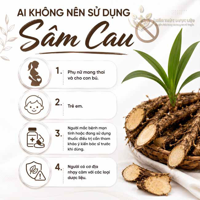 Ai không nên sử dụng sâm cau